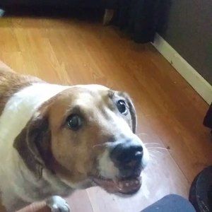 Meet your Posher, Roberta